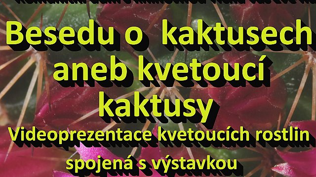 Beseda o kaktusech